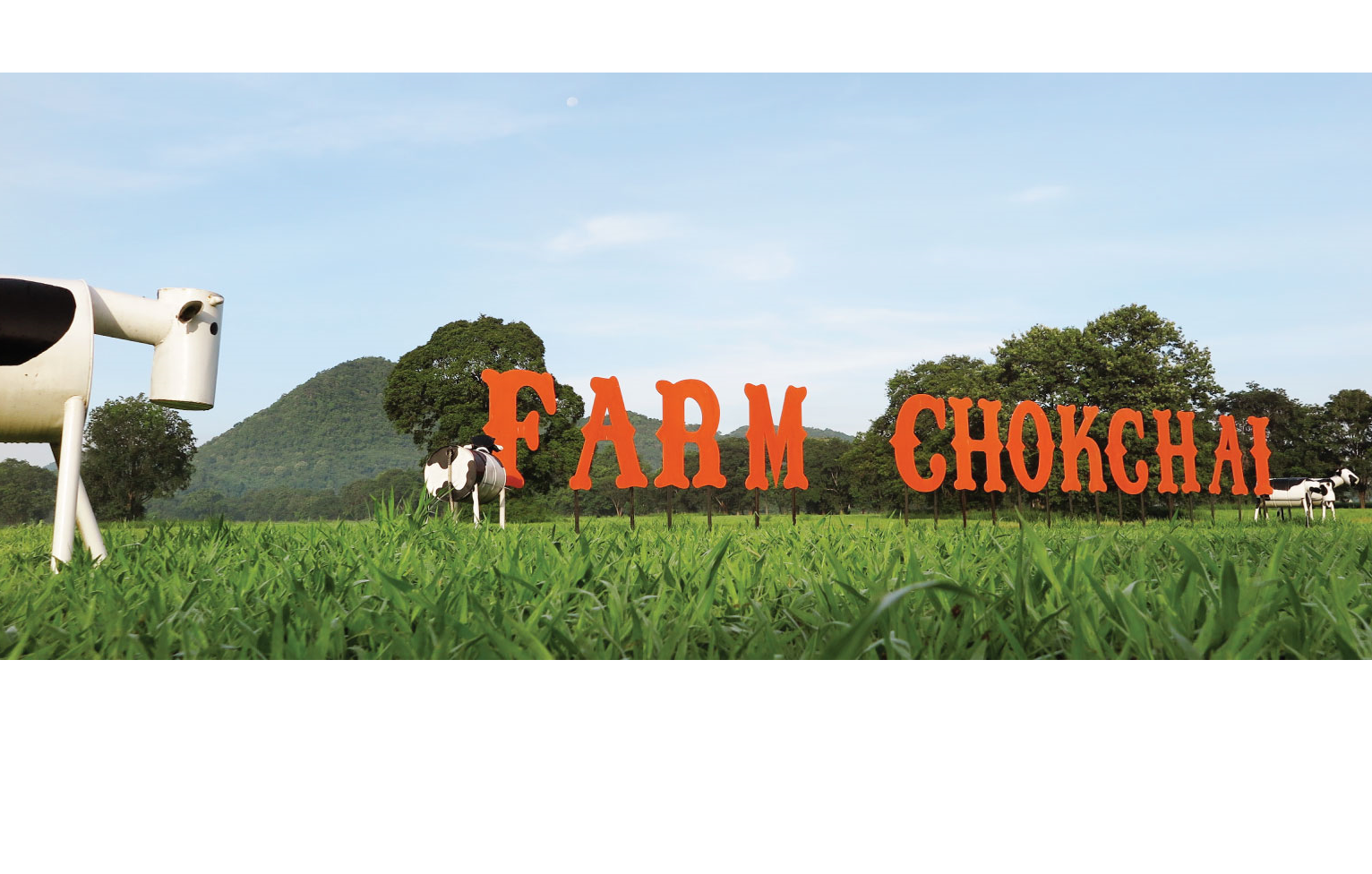 チョクチャイファーム ご到着