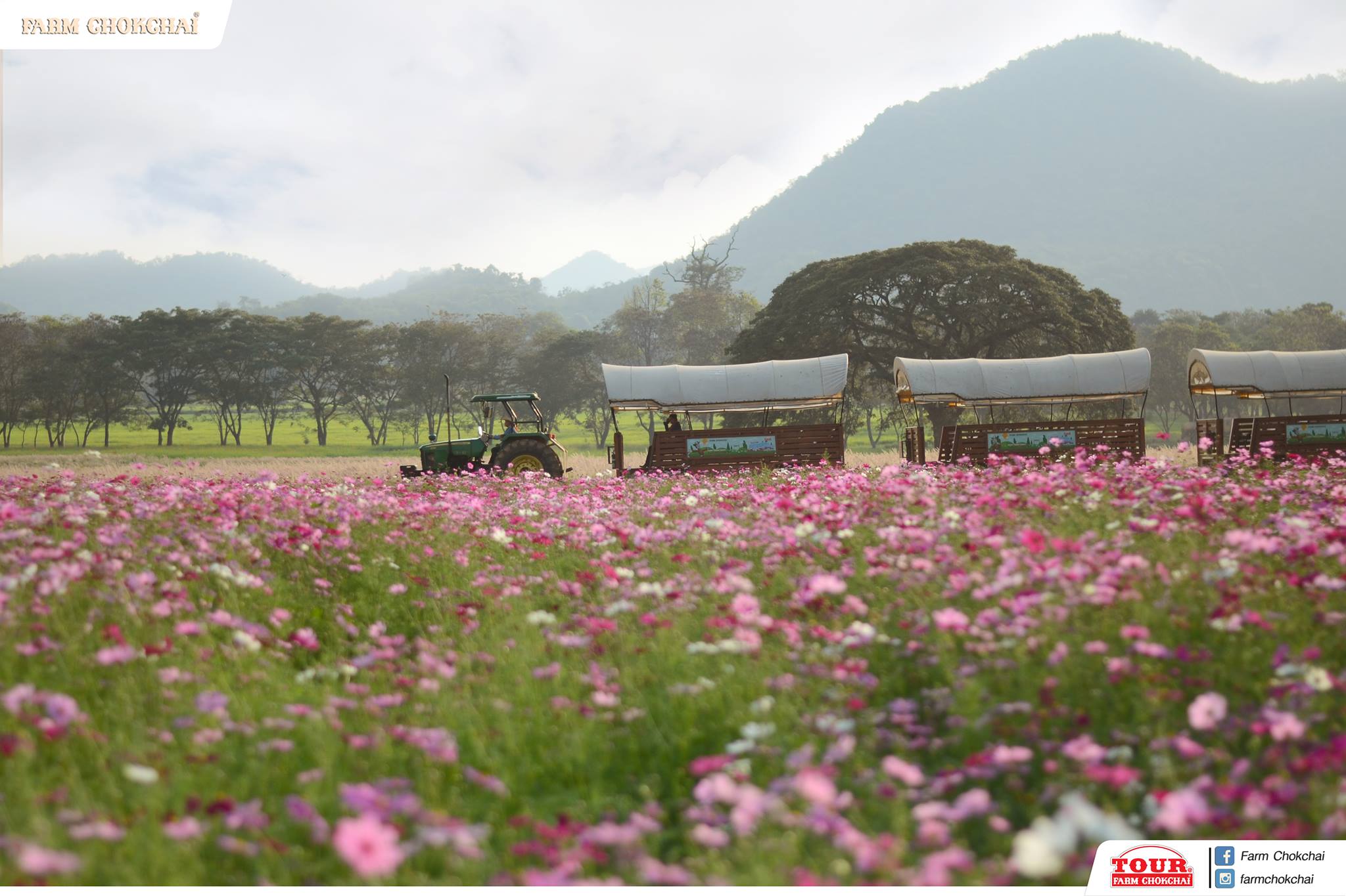 トラムに乗って園内を周遊