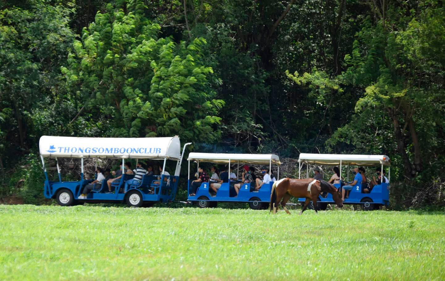 トラムに乗って、アクティビティエリアへ！