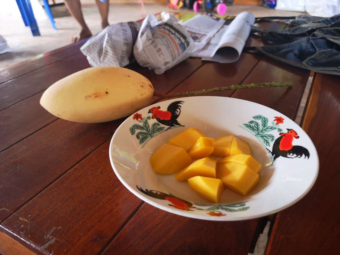 収穫体験後、完熟したあま～いマンゴーを味見！