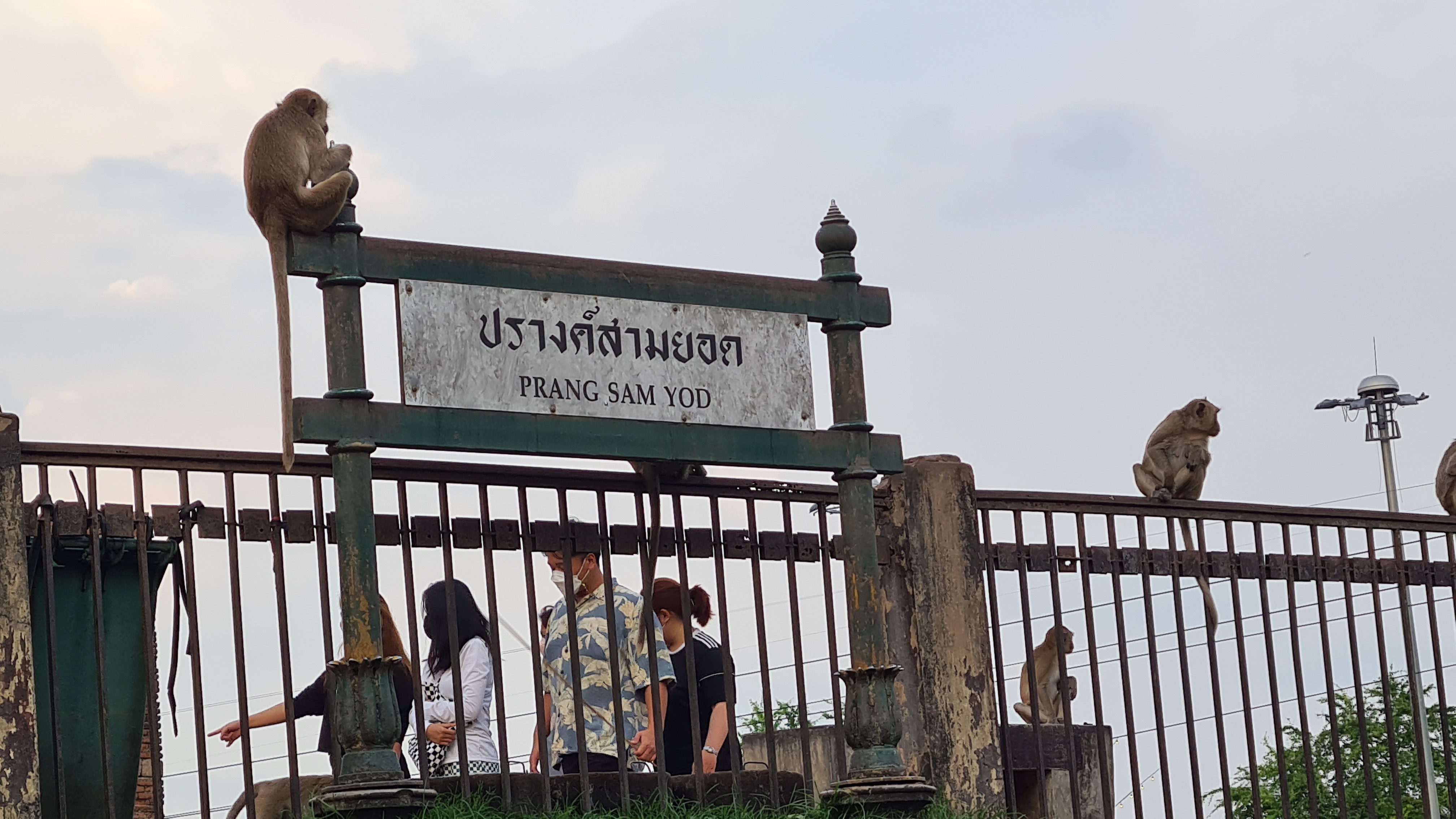 クメール遺跡と猿の街 「ロッブリー」を車窓観光