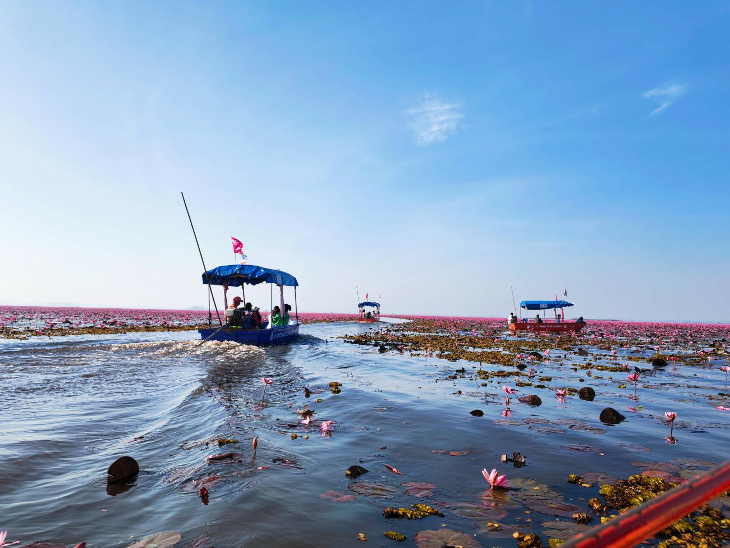 スピードボートで紅く染まった湖を遊覧（約1時間～1時間半）