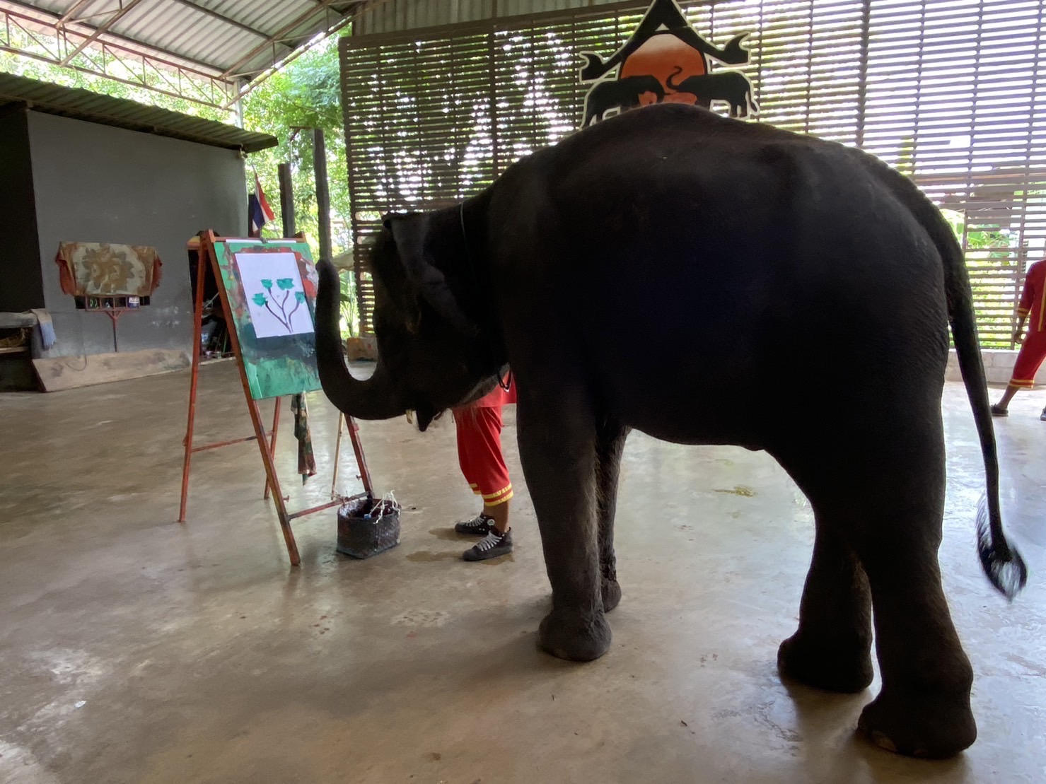 象園（エレファントビレッジ)にて、エレファントショー見学