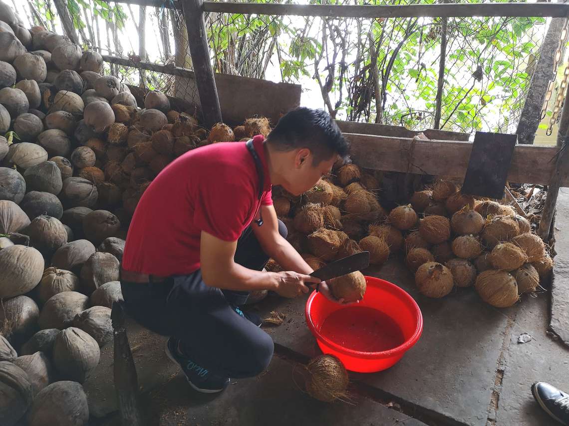 中洲上陸、熱帯植物に囲まれた歩道を散策