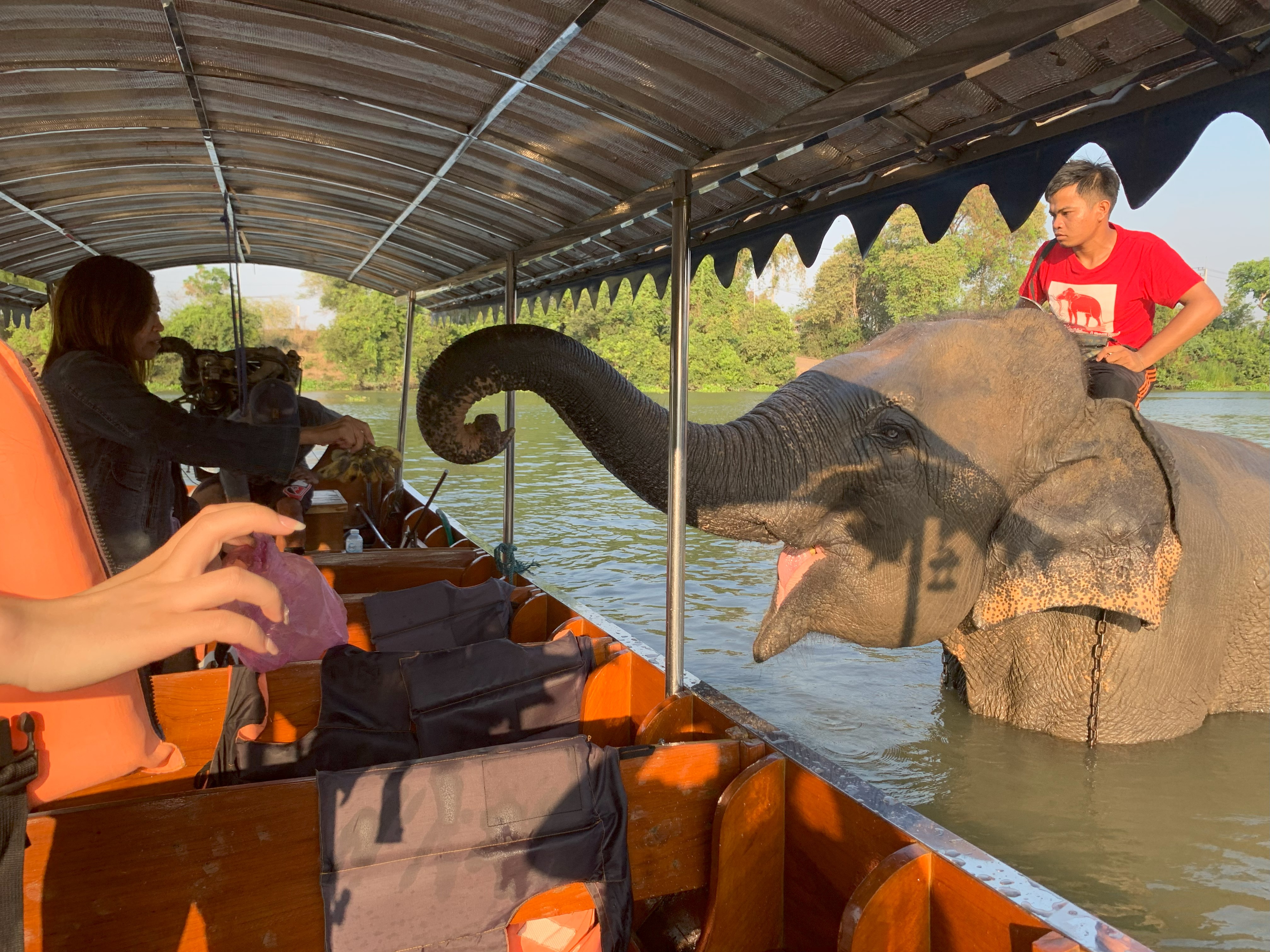 船上から象さんの水浴びを見学＆餌やり体験（約15分）