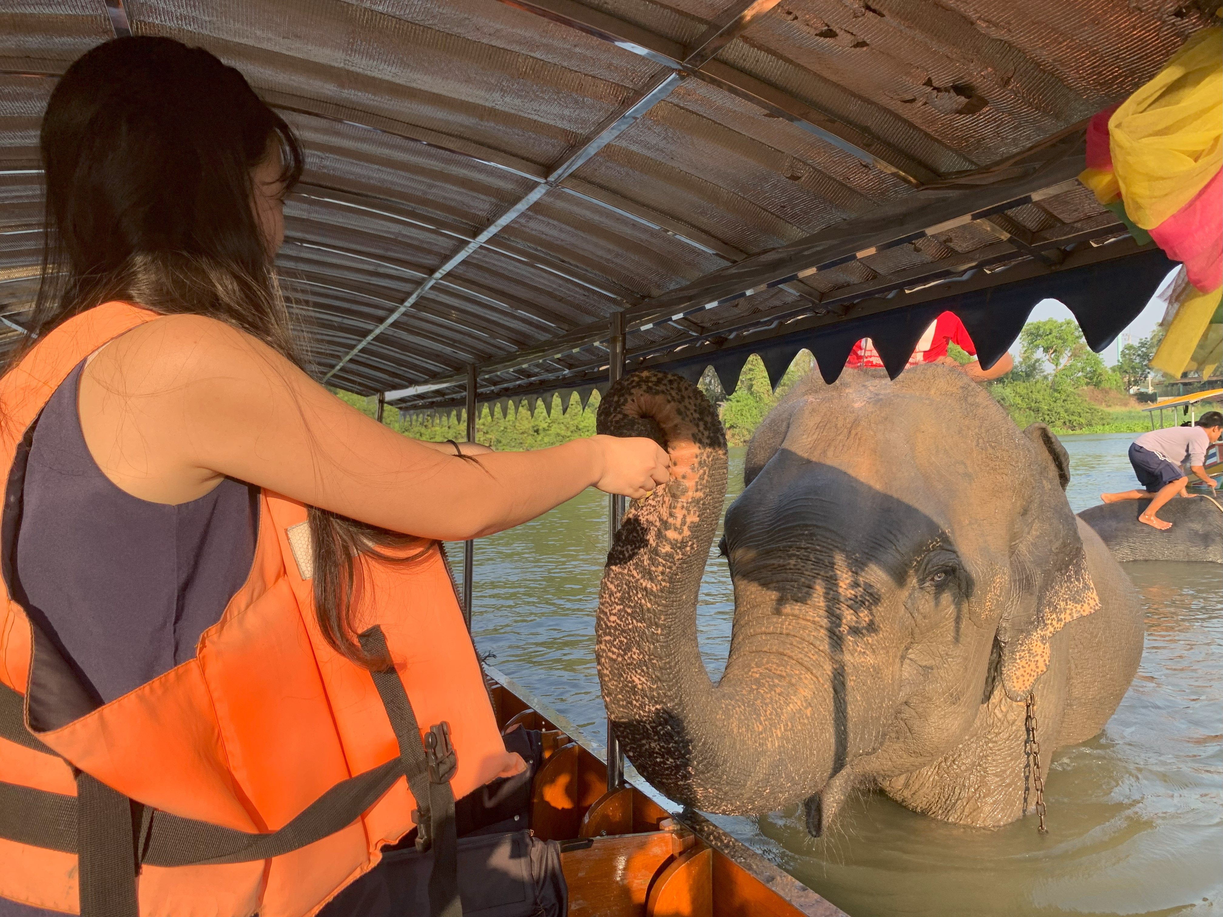 船上から象さんの水浴びを見学＆餌やり体験（約15分）