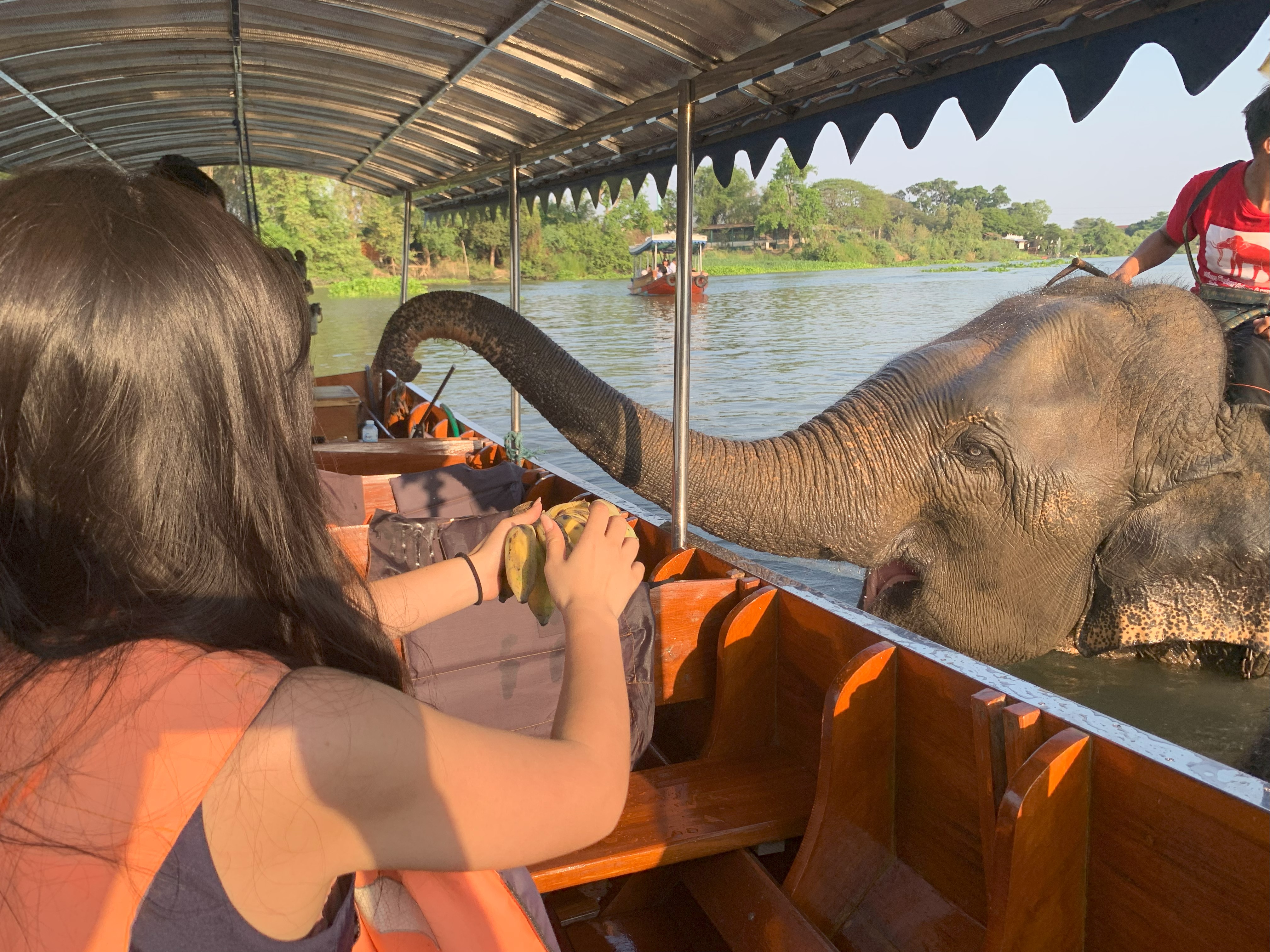 船上から象さんの水浴びを見学＆餌やり体験（約15分）