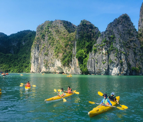 船上でご昼食後、シーカヤック または 手漕ぎ舟で遊覧
