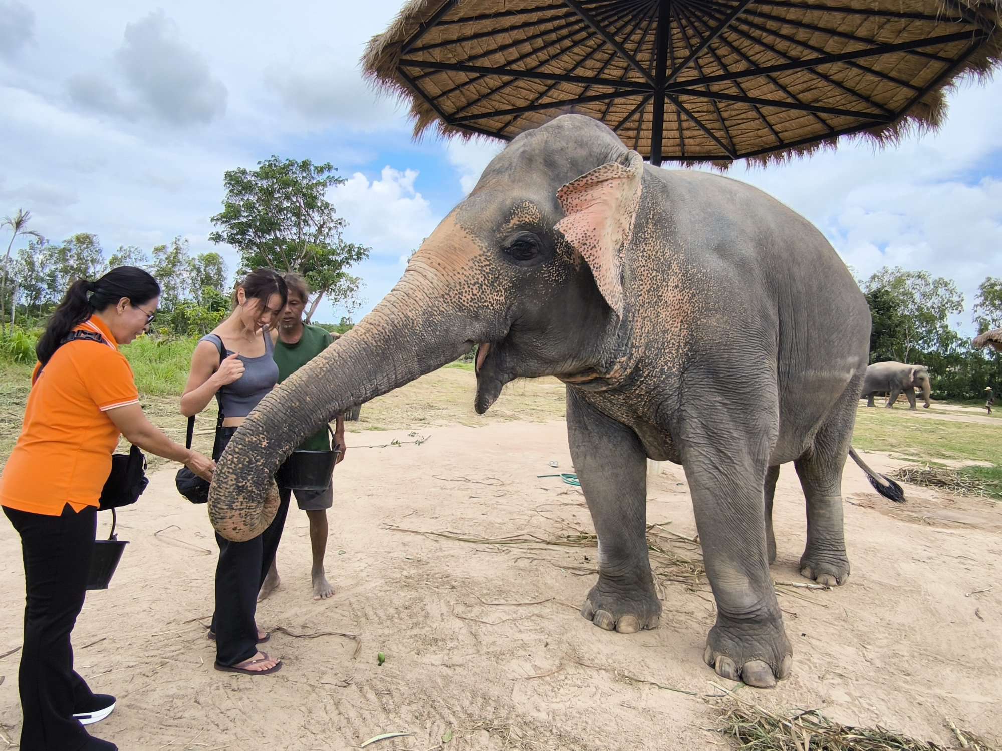 象との触れあいスタート♪