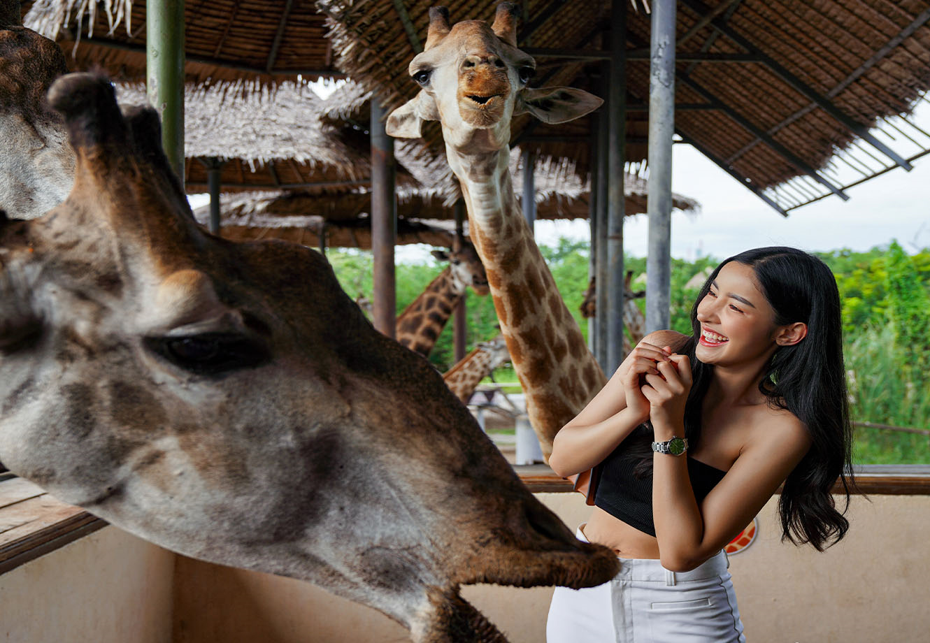 マリンパーク内を再び自由散策