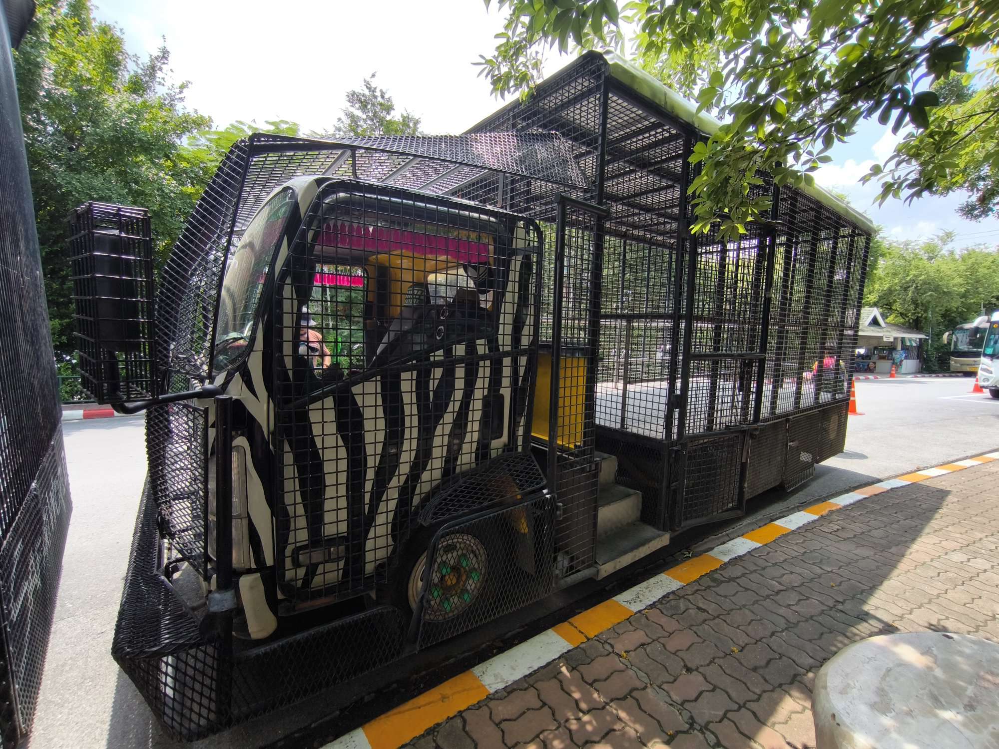 再集合後、専用車に乗ってサファリパークへ！