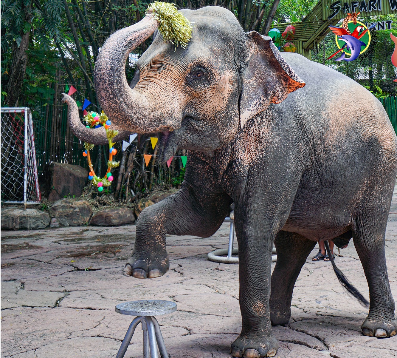 マリンパーク内を自由散策