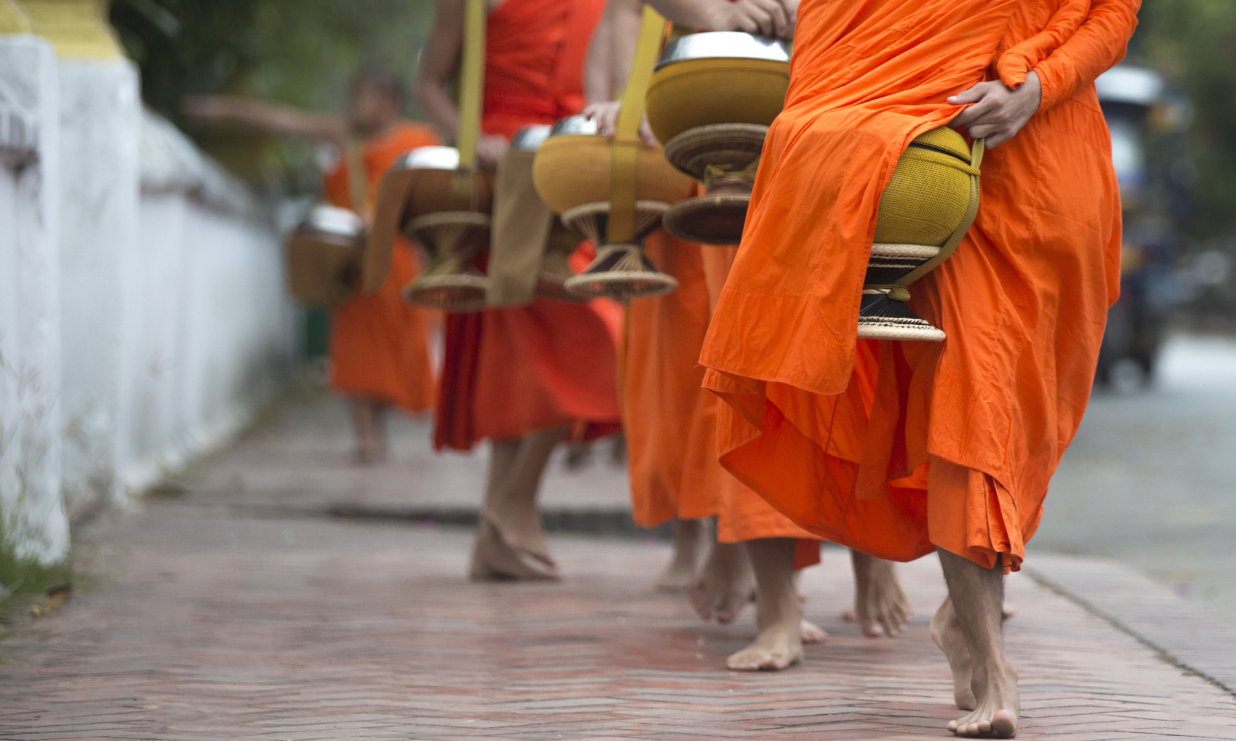 托鉢見学と活気ある朝市へご案内