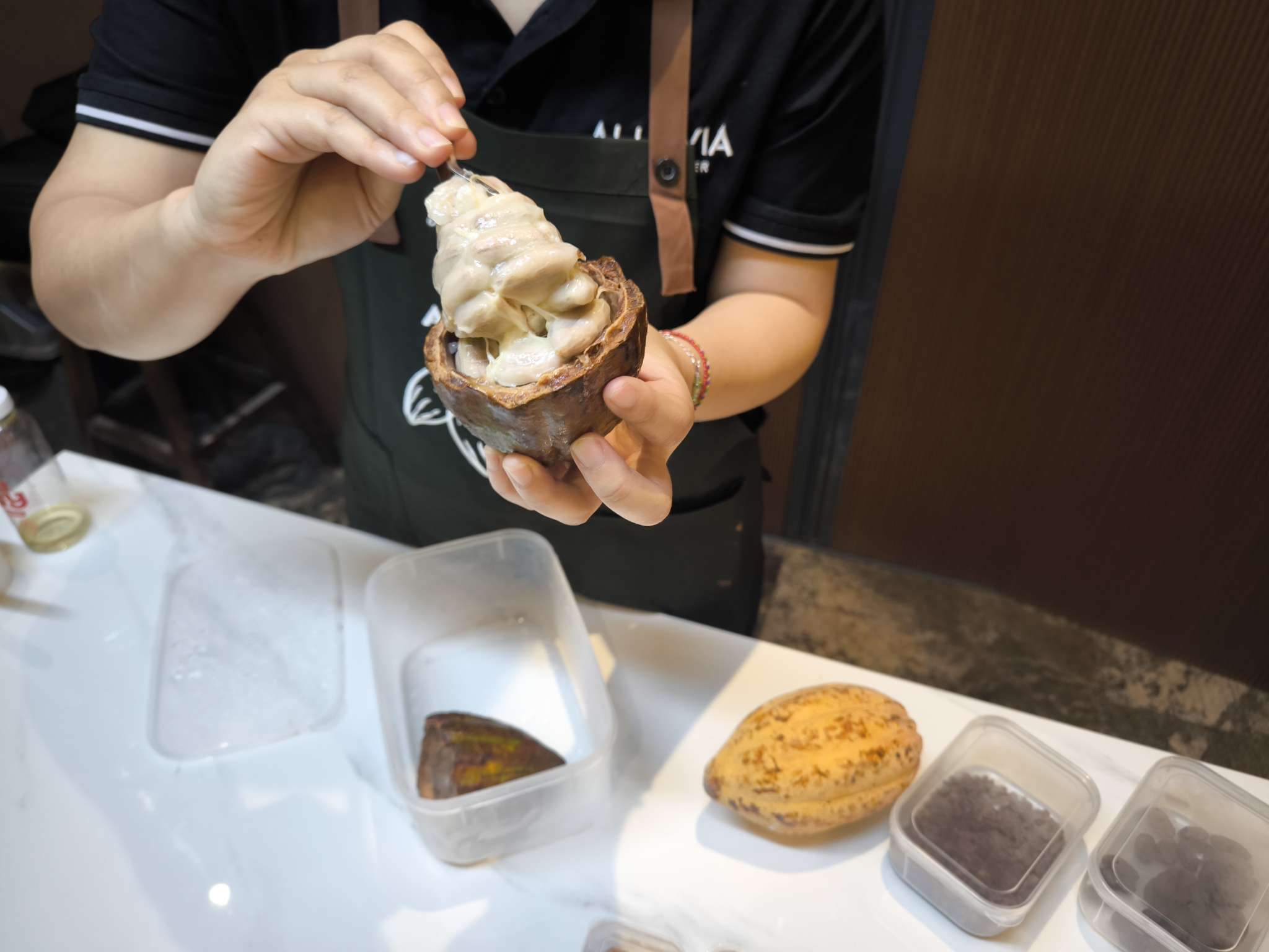 チョコレートがどのように作られるのかスタッフが説明します（英語）