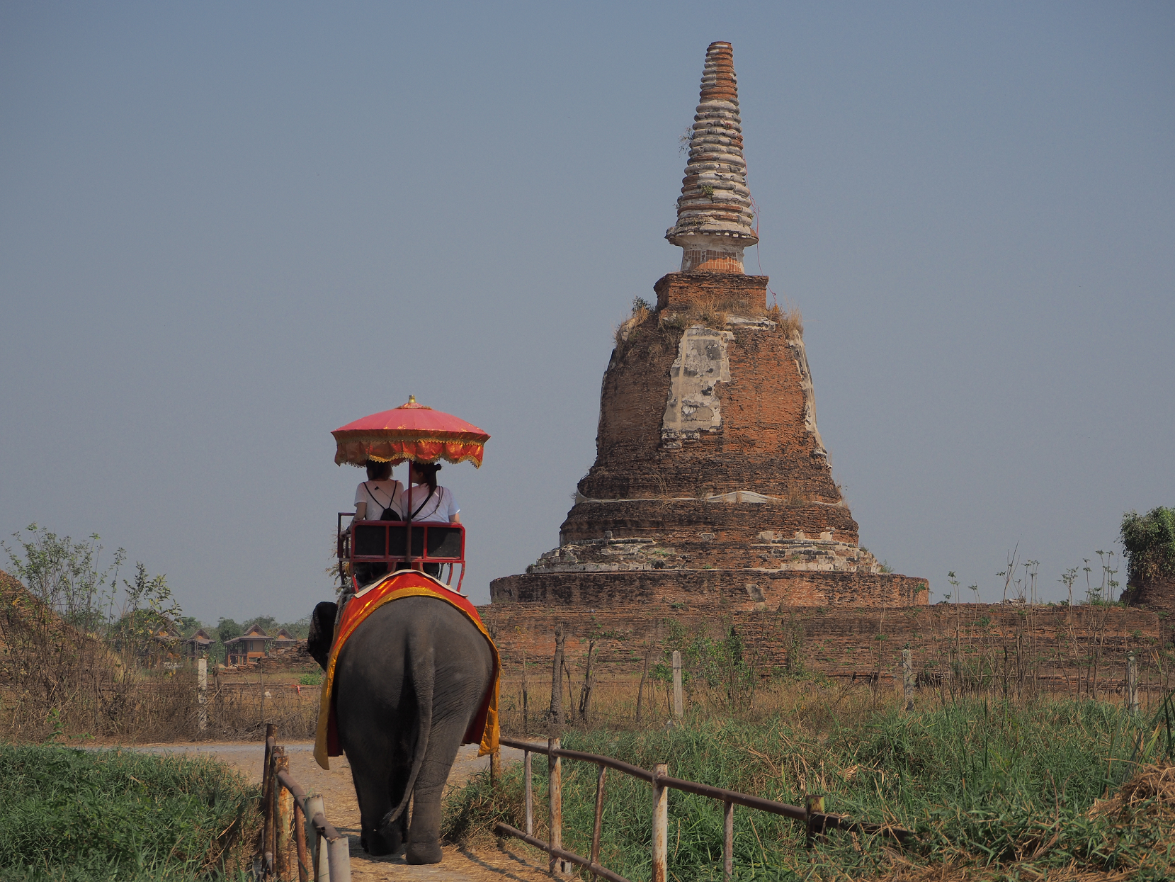 エレファントビレッジにて、象に乗ってお散歩(約10分間)