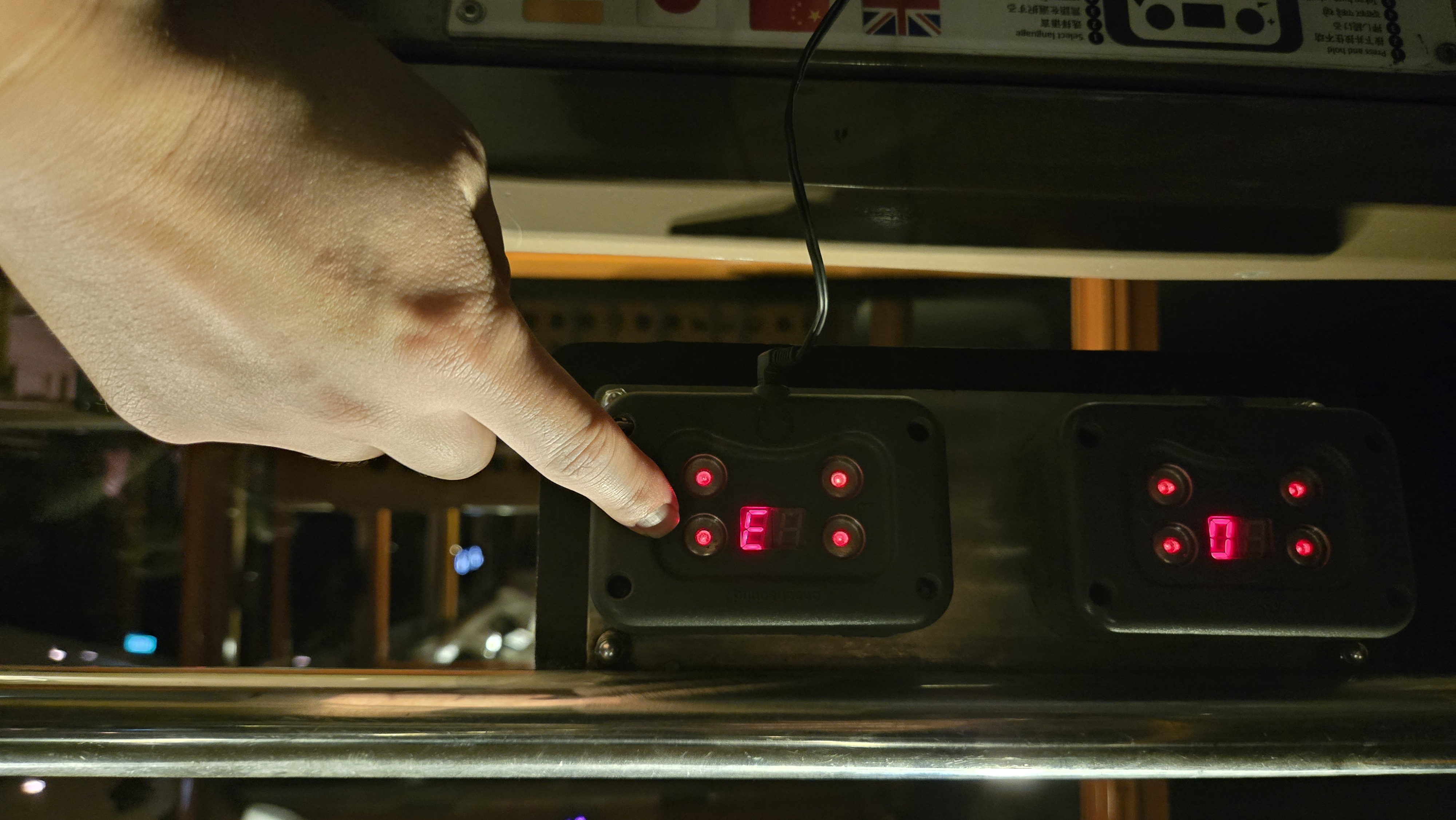 日本語音声トラムで夜行性動物たちを観察(約30分)