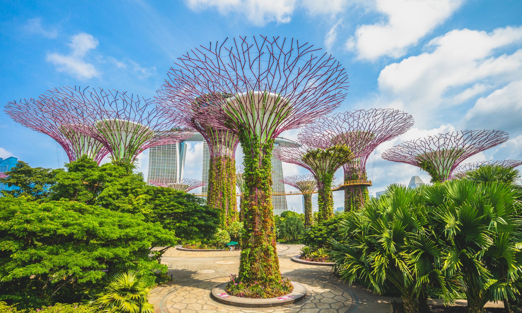 未来型植物園「ガーデンズ・バイ・ザ・ベイ」