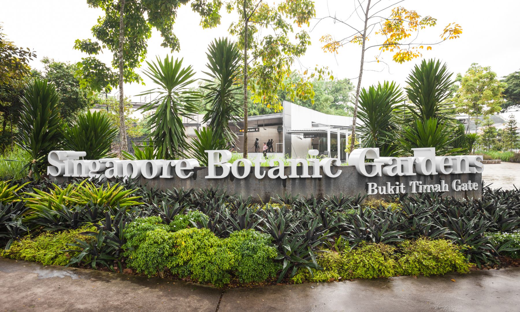 シンガポール初の世界遺産、シンガポール植物園