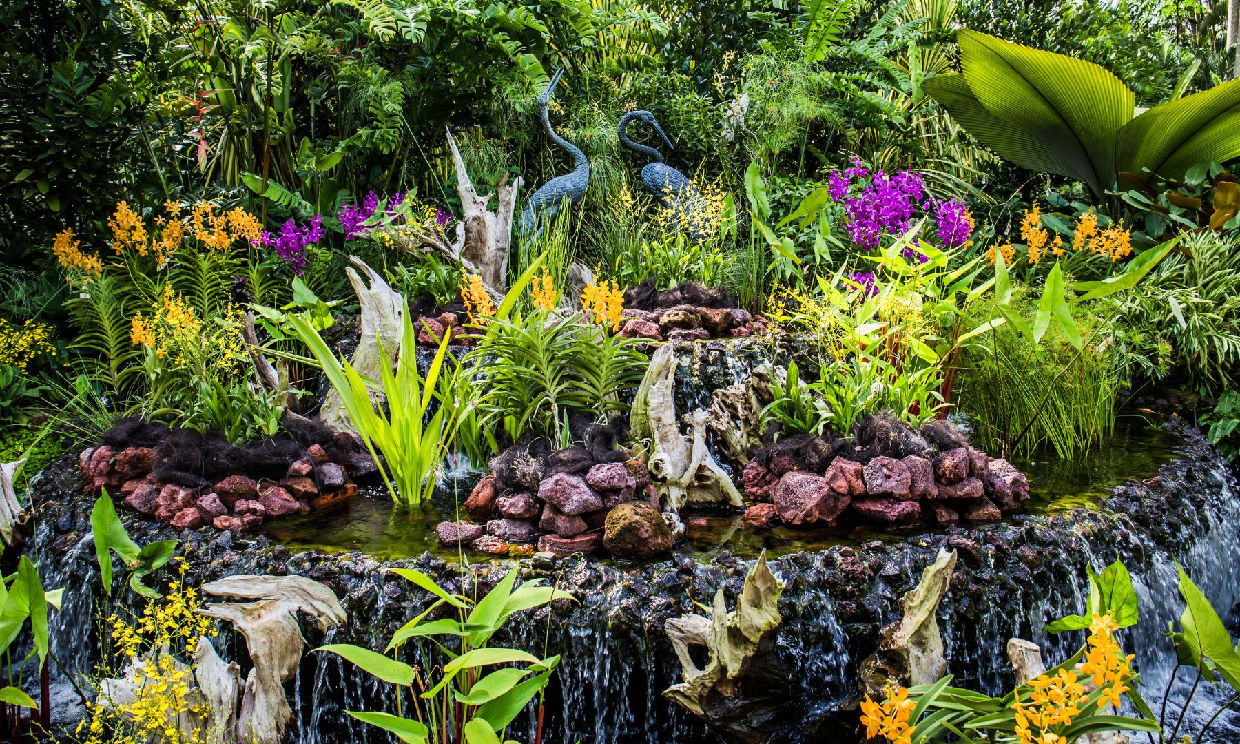 ナショナル・オーキッド・ガーデン入場