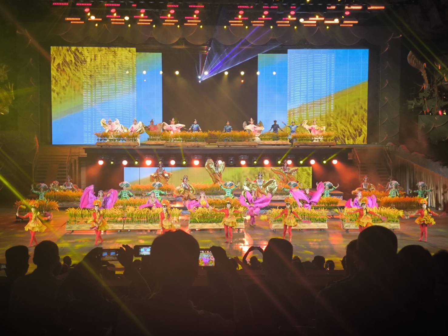 ナイトパレート「龍鳳舞中華」観賞