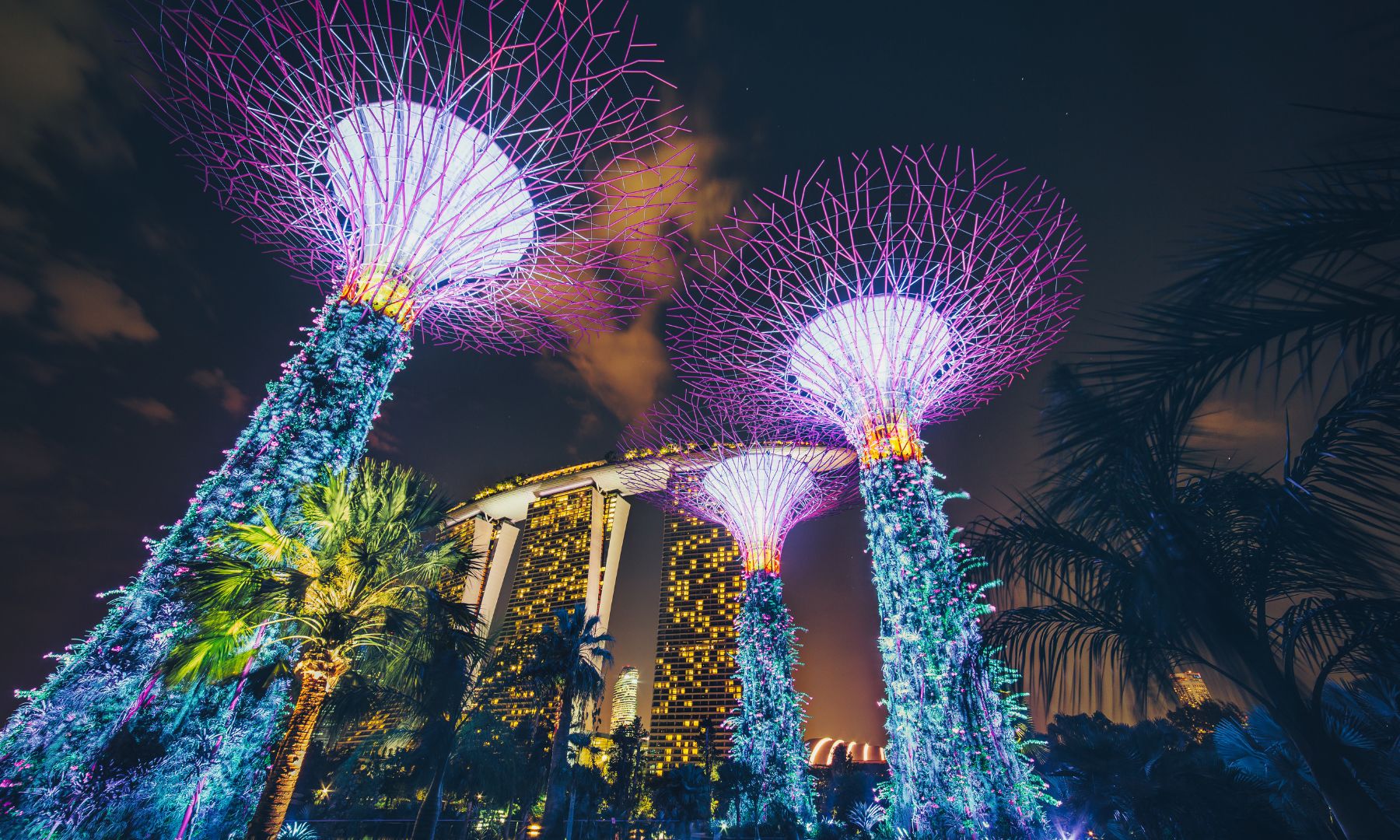 光と音楽のショー「ガーデン・ラプソディー」を鑑賞