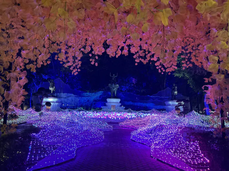 ナサッター公園到着