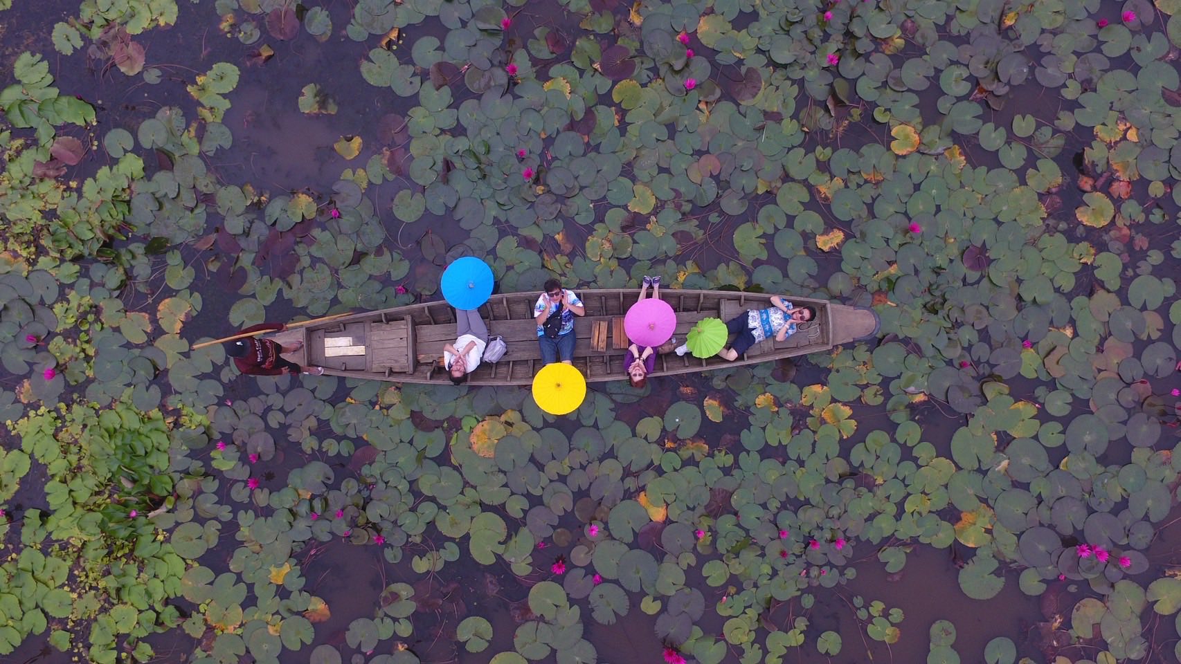 手漕ぎボート 乗船体験（約20分間）