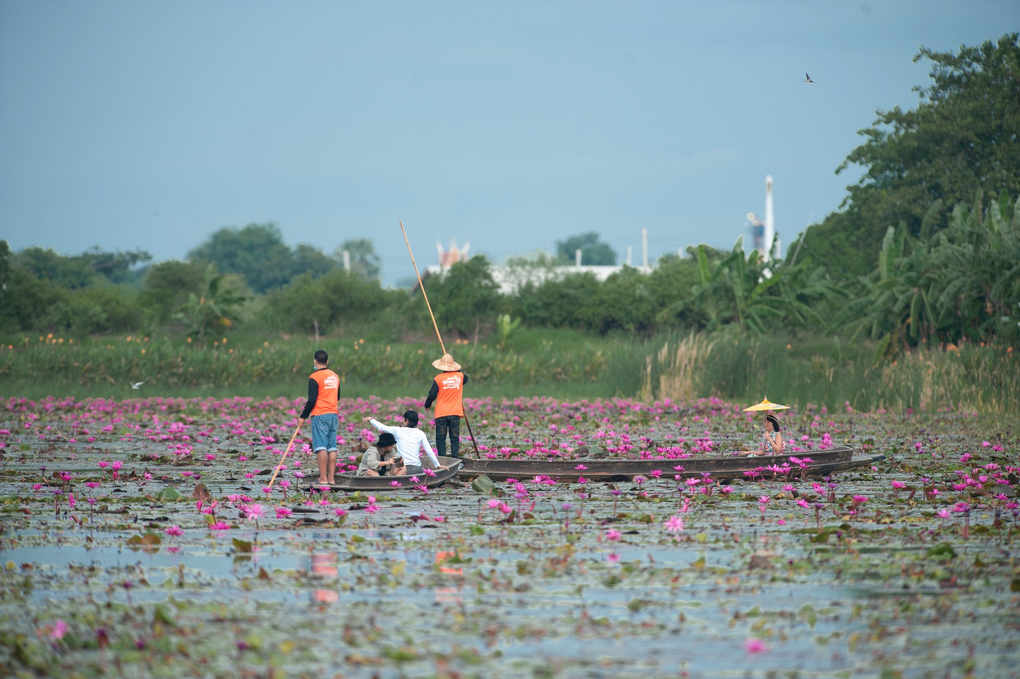 RED LOTUS FLOATING MARKET (レッドロータス水上市場）到着