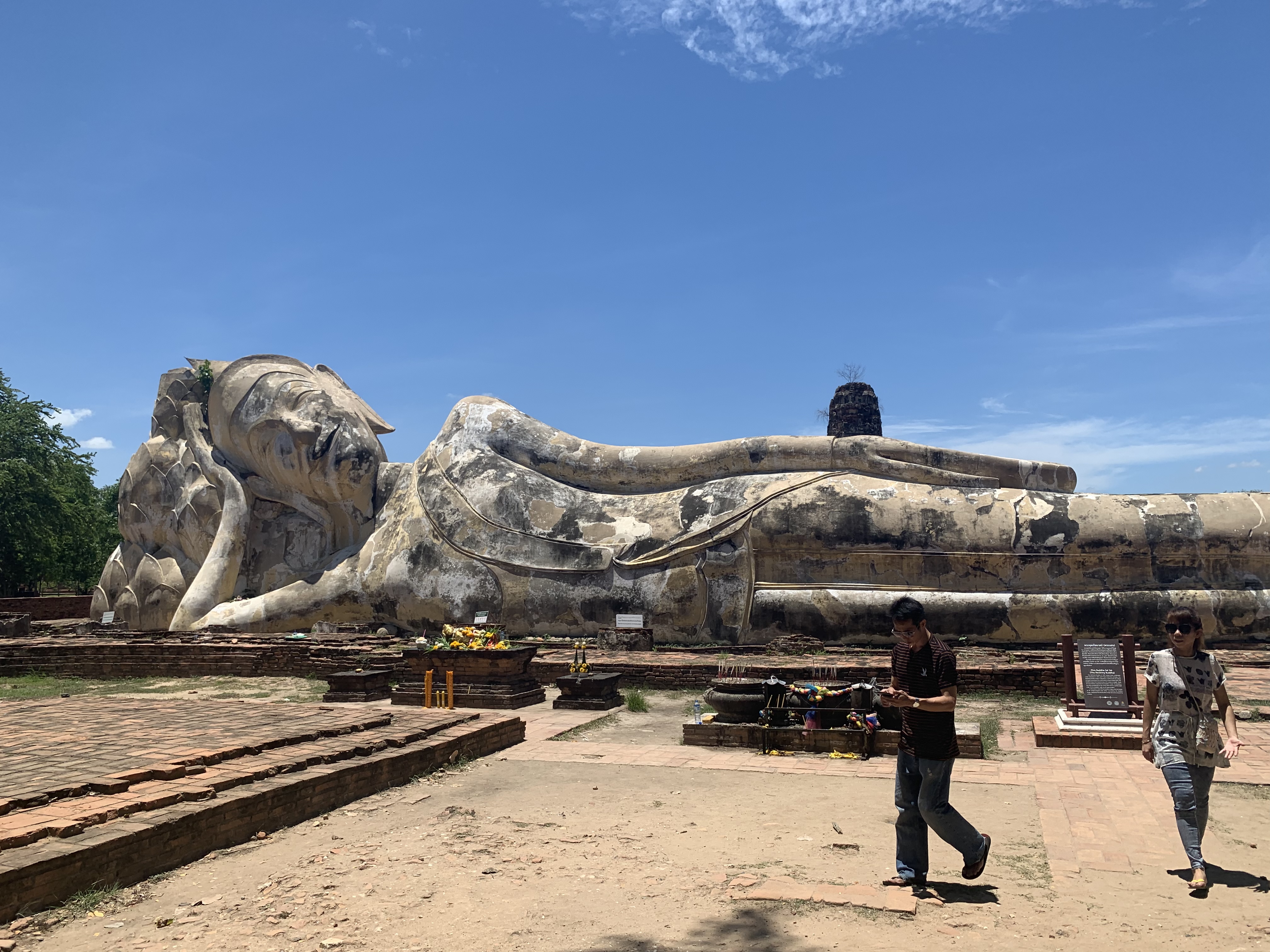 ワットロカヤスター