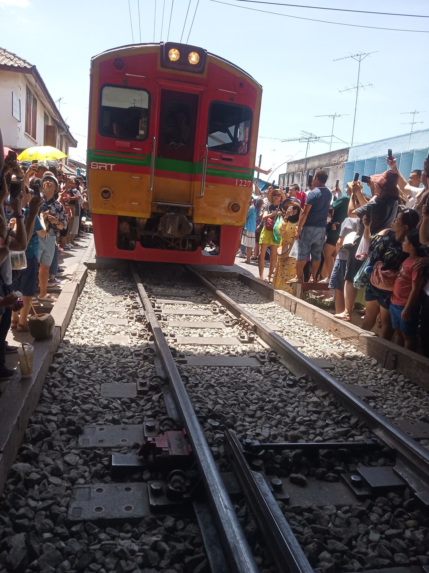 列車へ乗車！約30分の乗車体験をお楽しみください