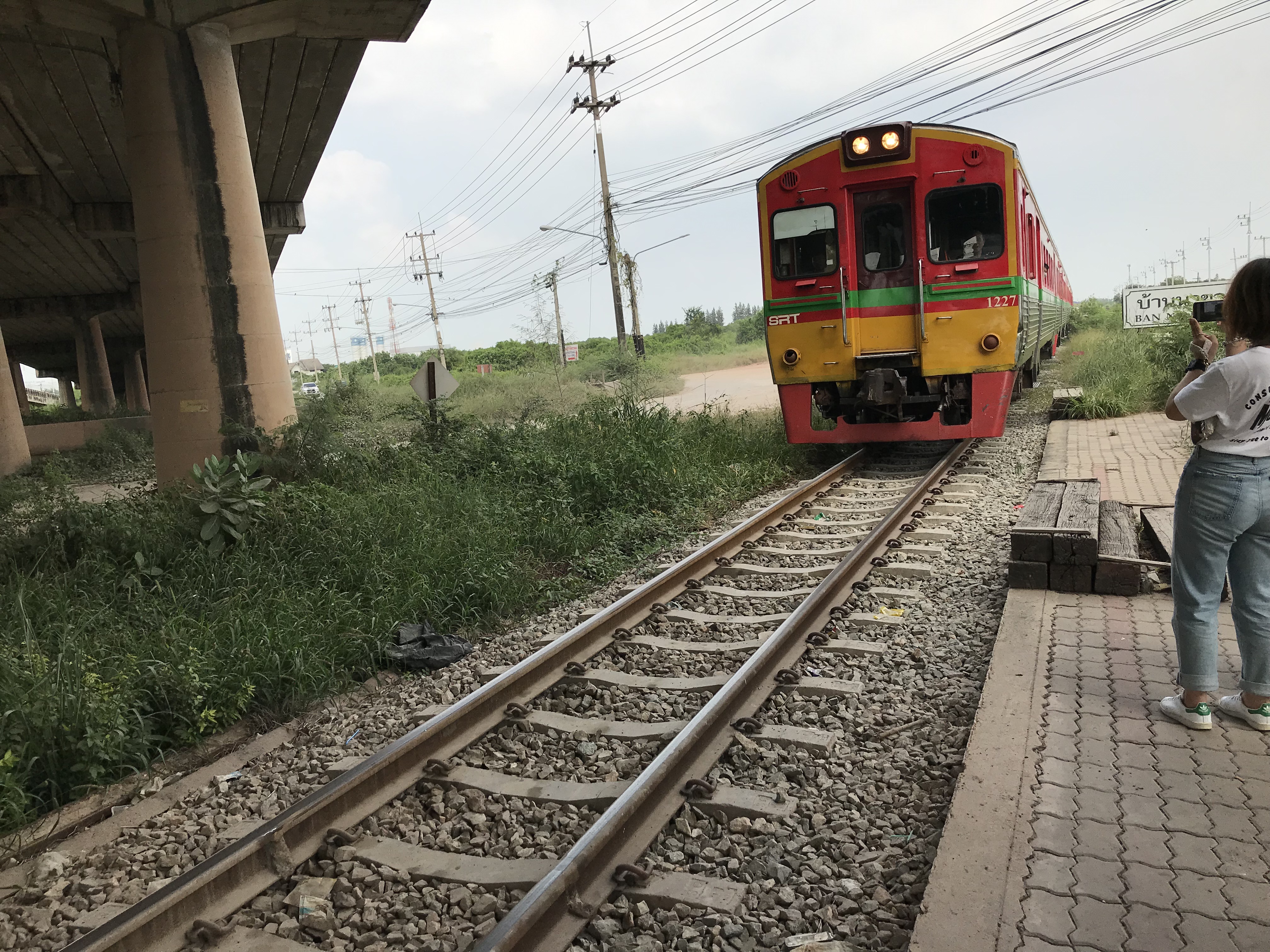 列車へ乗車！約30分の乗車体験をお楽しみください