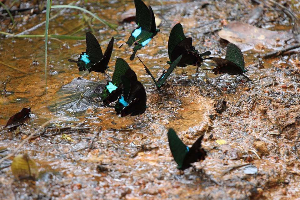 ビジターセンター見学 と 周辺散策