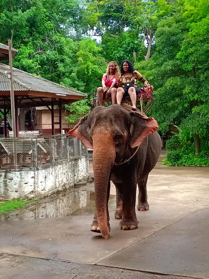 自然の中で、川にも入る大迫力の象乗り体験（約30分）