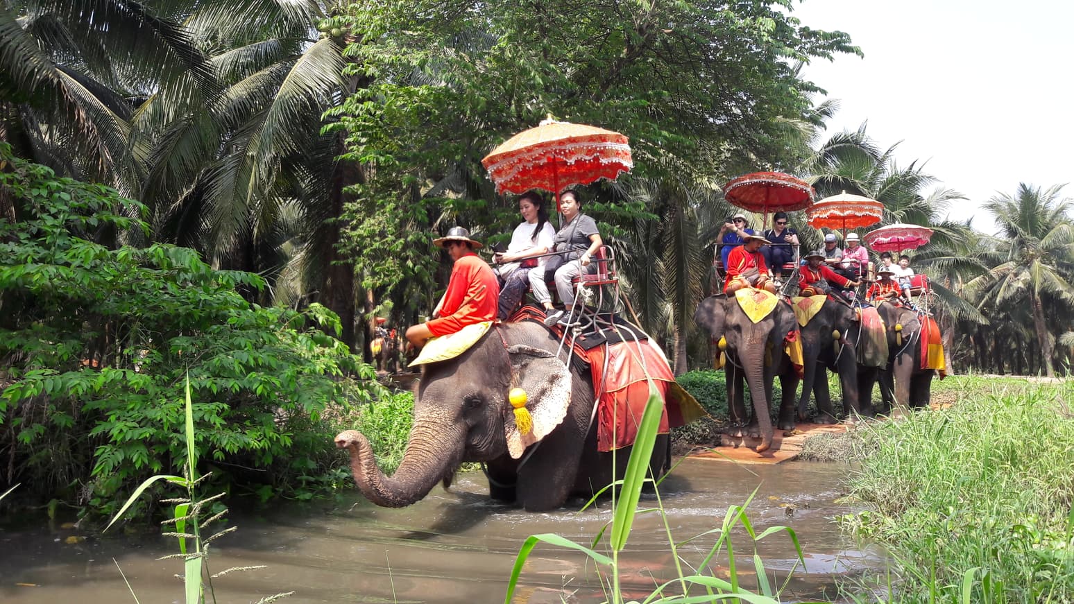 エレファントキャンプ（象園) にて本格的象乗り体験