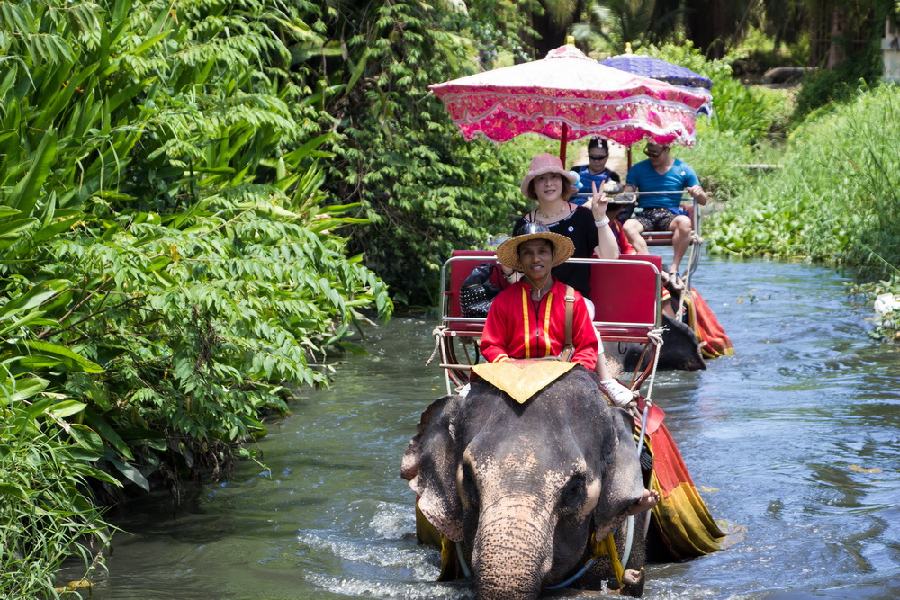 エレファントキャンプで本格象乗り体験（約15分）