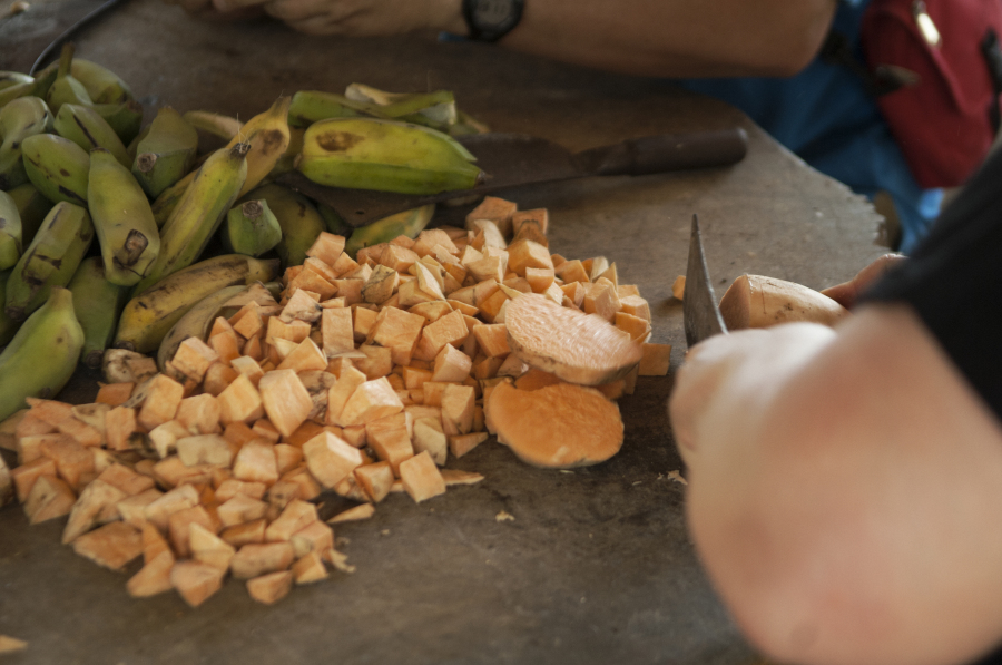 若い象たちに野菜やフルーツの餌をあげます