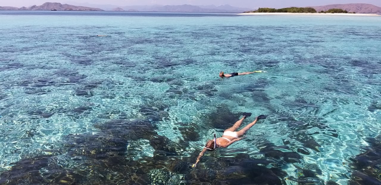 マンタポイントでシュノーケル