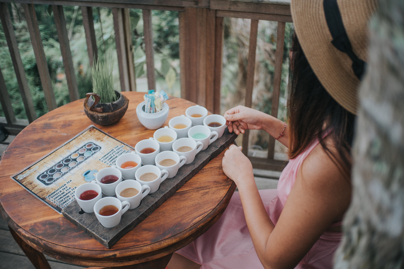 コーヒー農園ツアー＆試飲体験