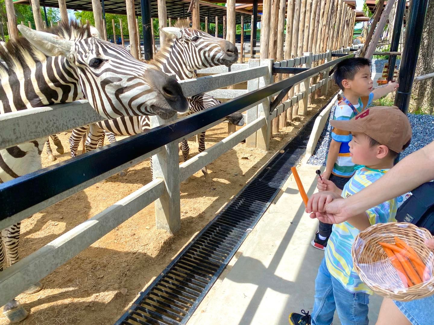 園内では自由行動となります。思い思いにお過ごしください。