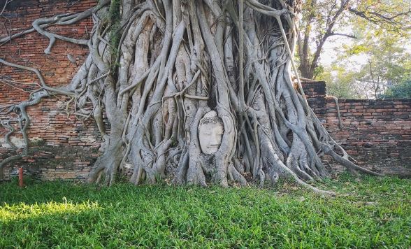 早朝空港お迎え+ 世界遺産アユタヤ遺跡観光 + 象乗り体験