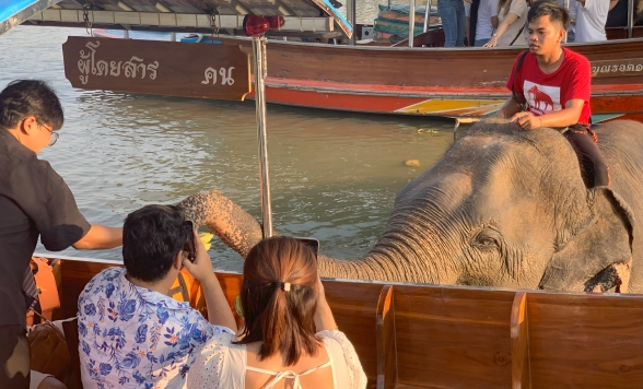 象さんと触れ合える！世界遺産アユタヤ遺跡観光 + ボート遊覧 + 遺跡ライトアップ鑑賞＜アユタヤ名物・川海老の夕食付き＞