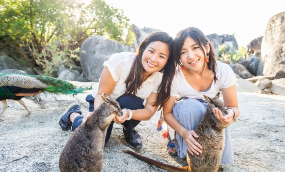 アサートン高原ツアー by True Blue Tours