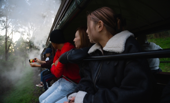 蒸気機関車パッフィンビリー＆ ダンデノンツアー