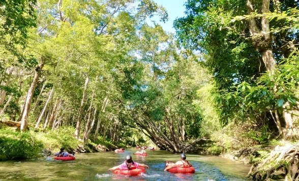 レインフォレストリバーチュービング