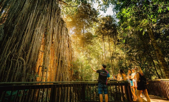 ウォーターフォールワンダラーズ