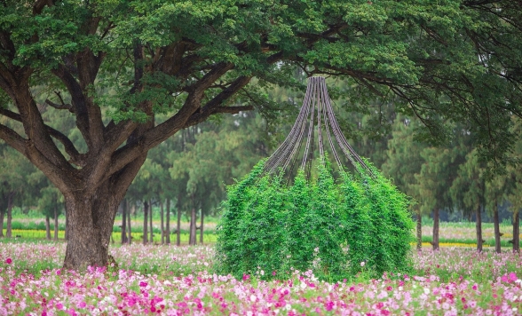 ジムトンプソンファームツアー