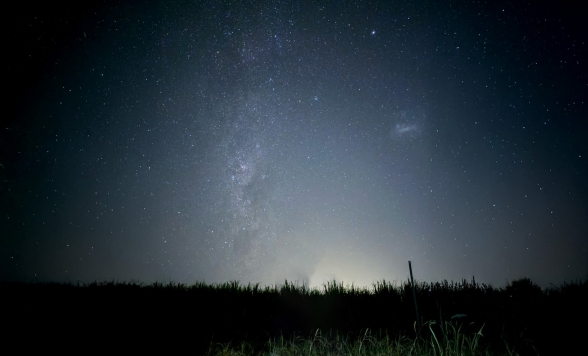 満天の星空見学とワイルドアニマル探索ツアー
