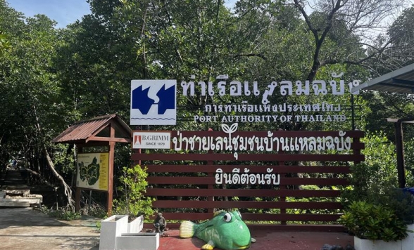 未来の森を育てよう！マングローブ植林体験ツアー