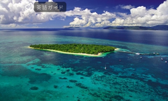 グリーン島半日ツアー