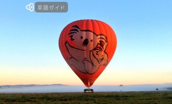 ホットエアー 熱気球乗船体験の早朝ツアー